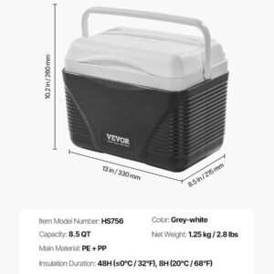 Portable Cooler With Handle HS756